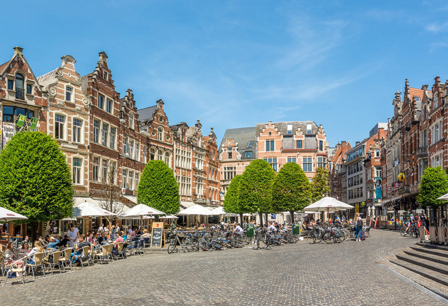 Level 4 Workshop with Helga Schepers on 08/09/10 August 2025 @ Leuven Belgium (English)