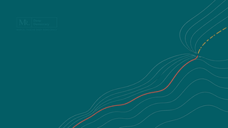 Abstract illustration: many thin lines converging into one line that turns red